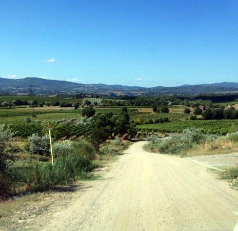 Agriturismo Relais Poggio Primo Borro Eksteriør billede