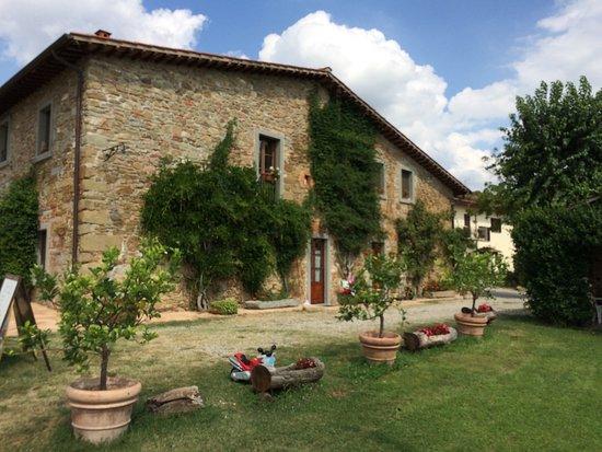 Agriturismo Relais Poggio Primo Borro Eksteriør billede